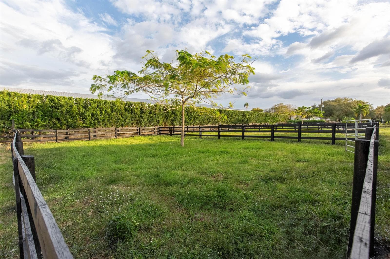 14367 Belmont Trace photo 4