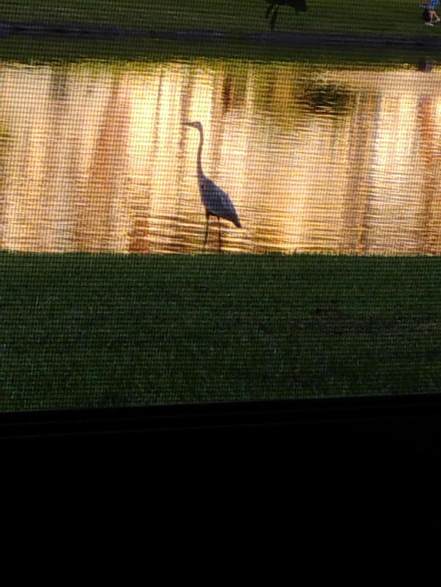 192 Monaco D photo 7