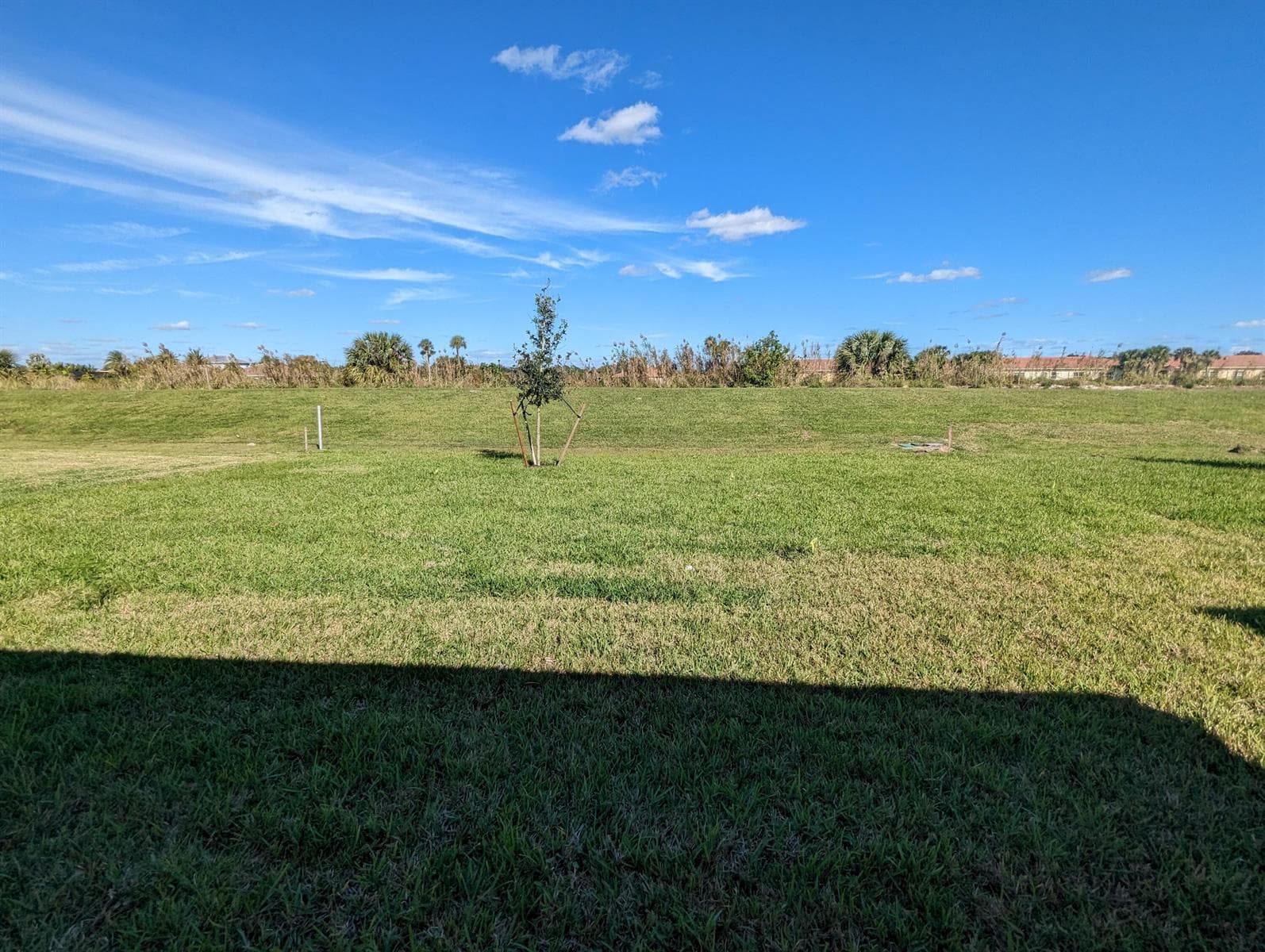 10597 SW Vasari Way photo 13