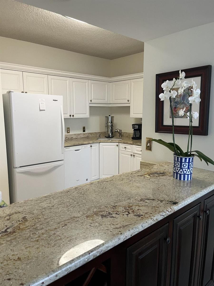 12356 Harbour Ridge Boulevard photo 12