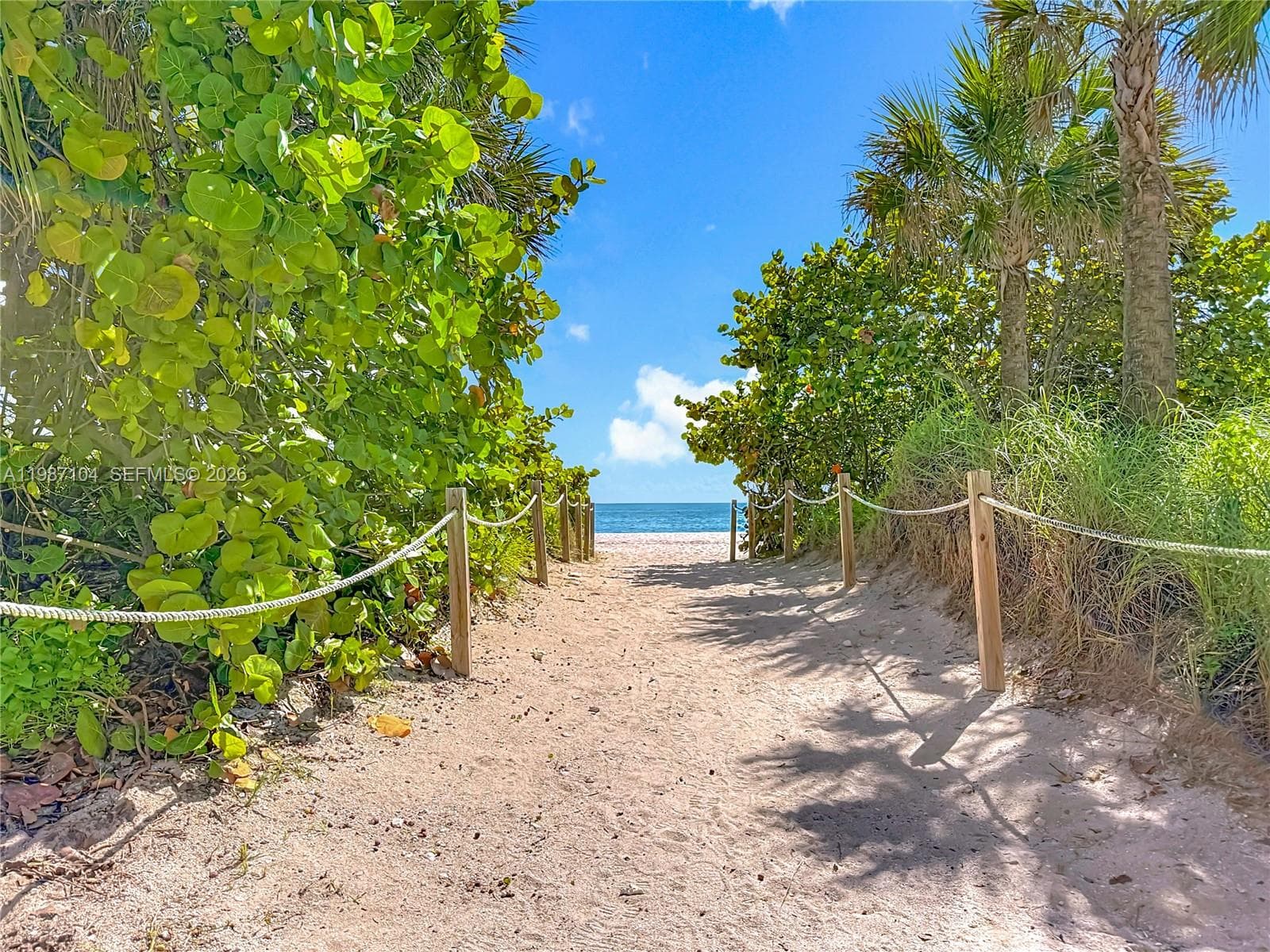 6061 Collins Ave 12D photo 5