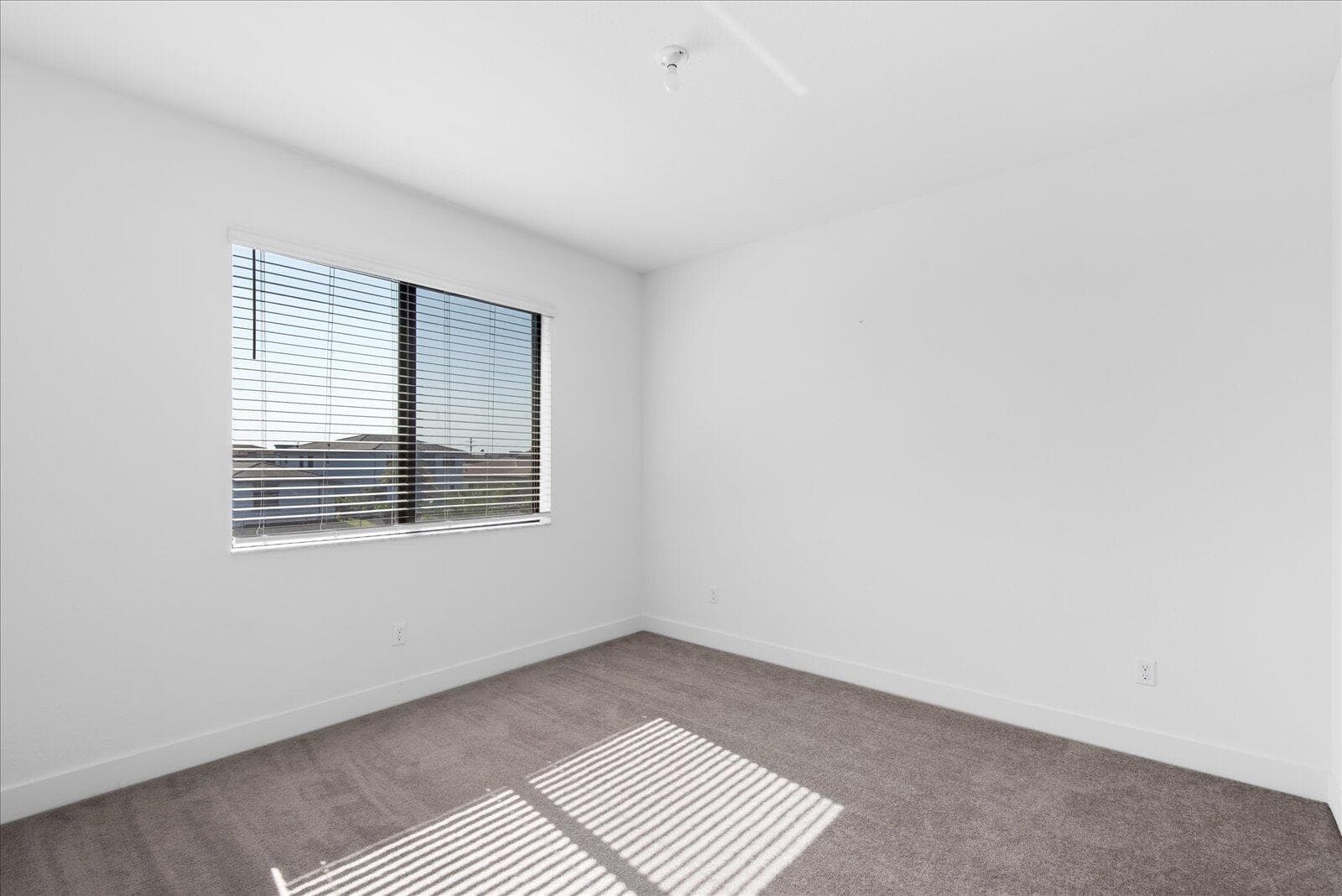 10830 Moore Drive photo 14
