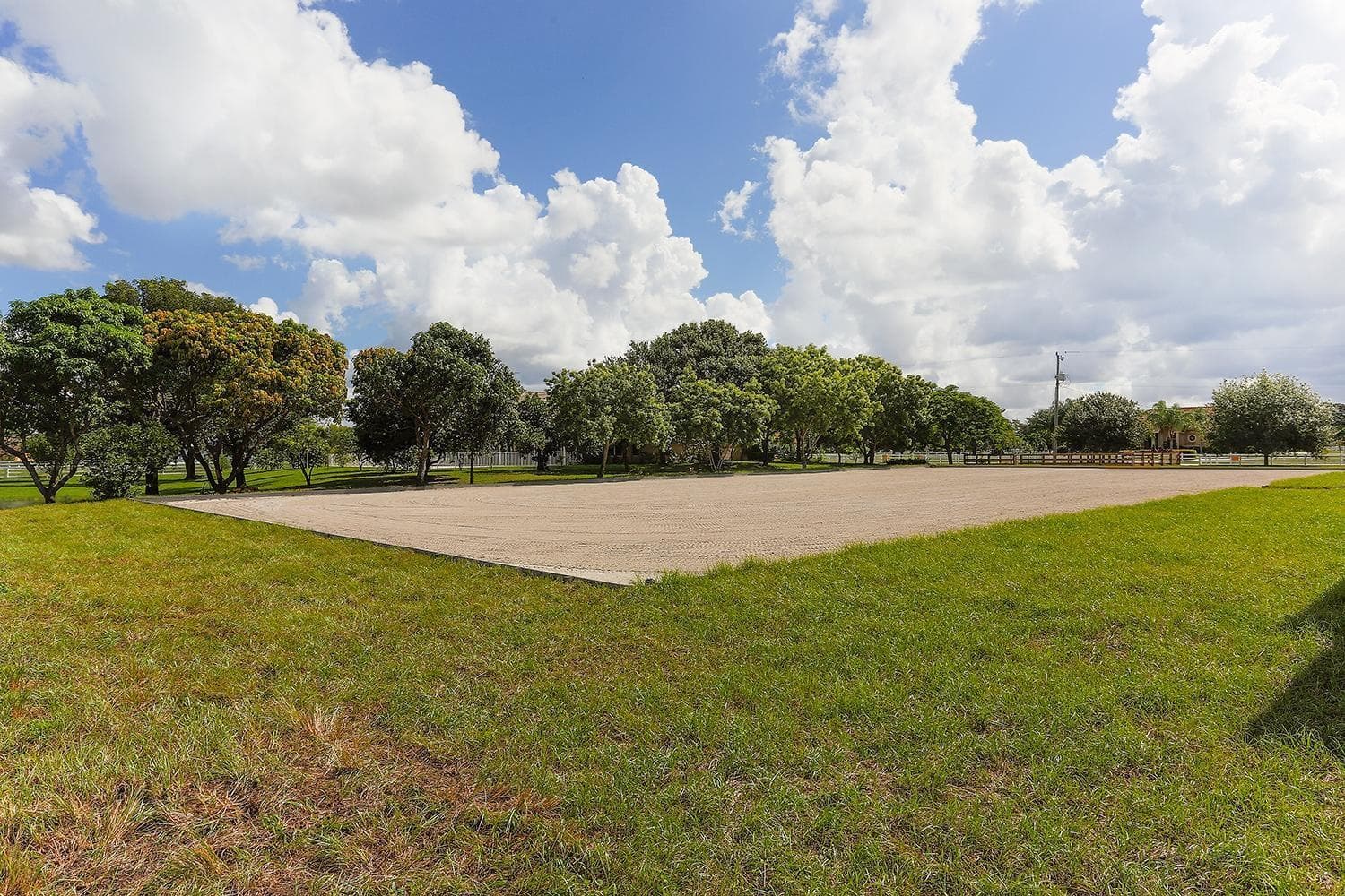 2088 Appaloosa Trail photo 23