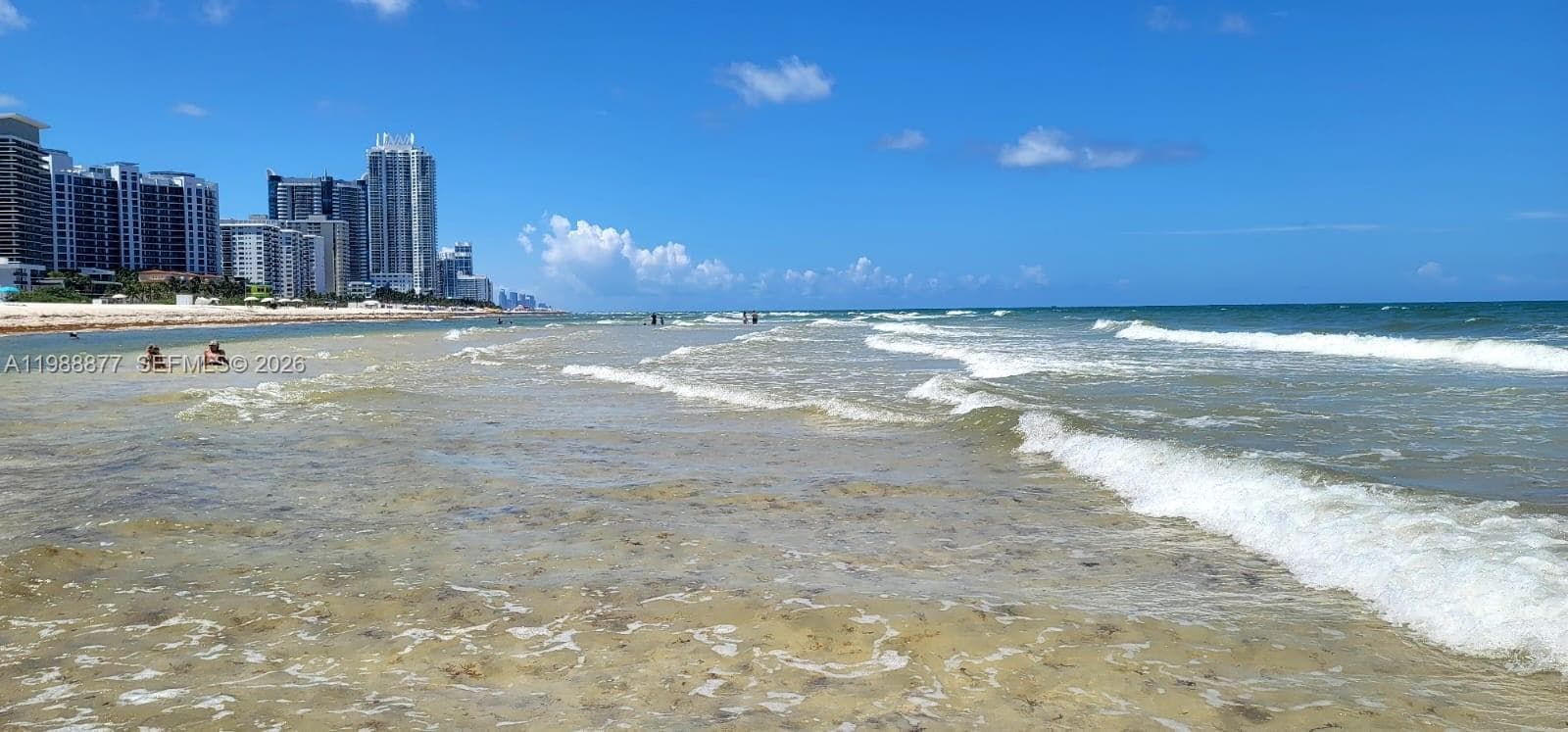 5601 Collins Ave 1110 photo 17