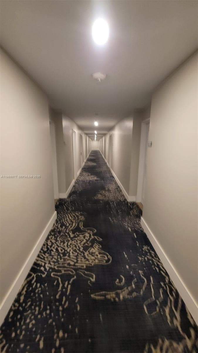 5601 Collins Ave 1110 photo 11