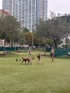 1750 Bayshore Dr 1714 photo 10