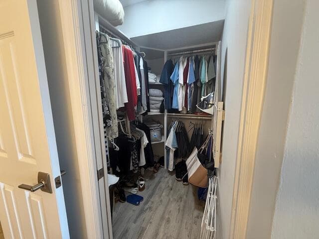 1319 E Hillsboro Boulevard 412 photo 24