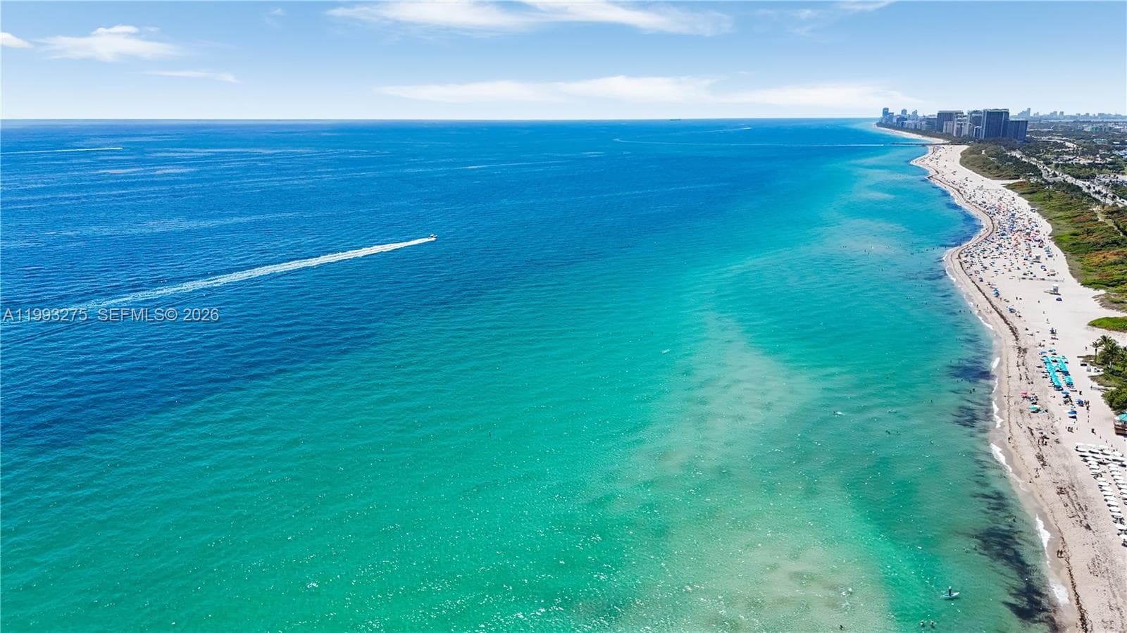 16001 Collins Ave 4102 photo 8