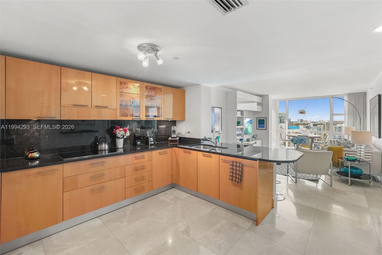 6801 Collins Ave 1112 (Door 1102) photo 2