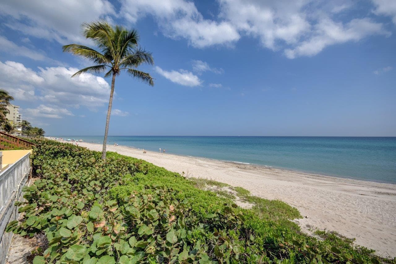 3221 S Ocean Boulevard 308 photo 4
