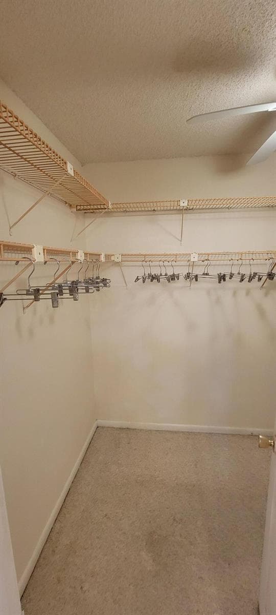 410 Wilma Circle 308 photo 7