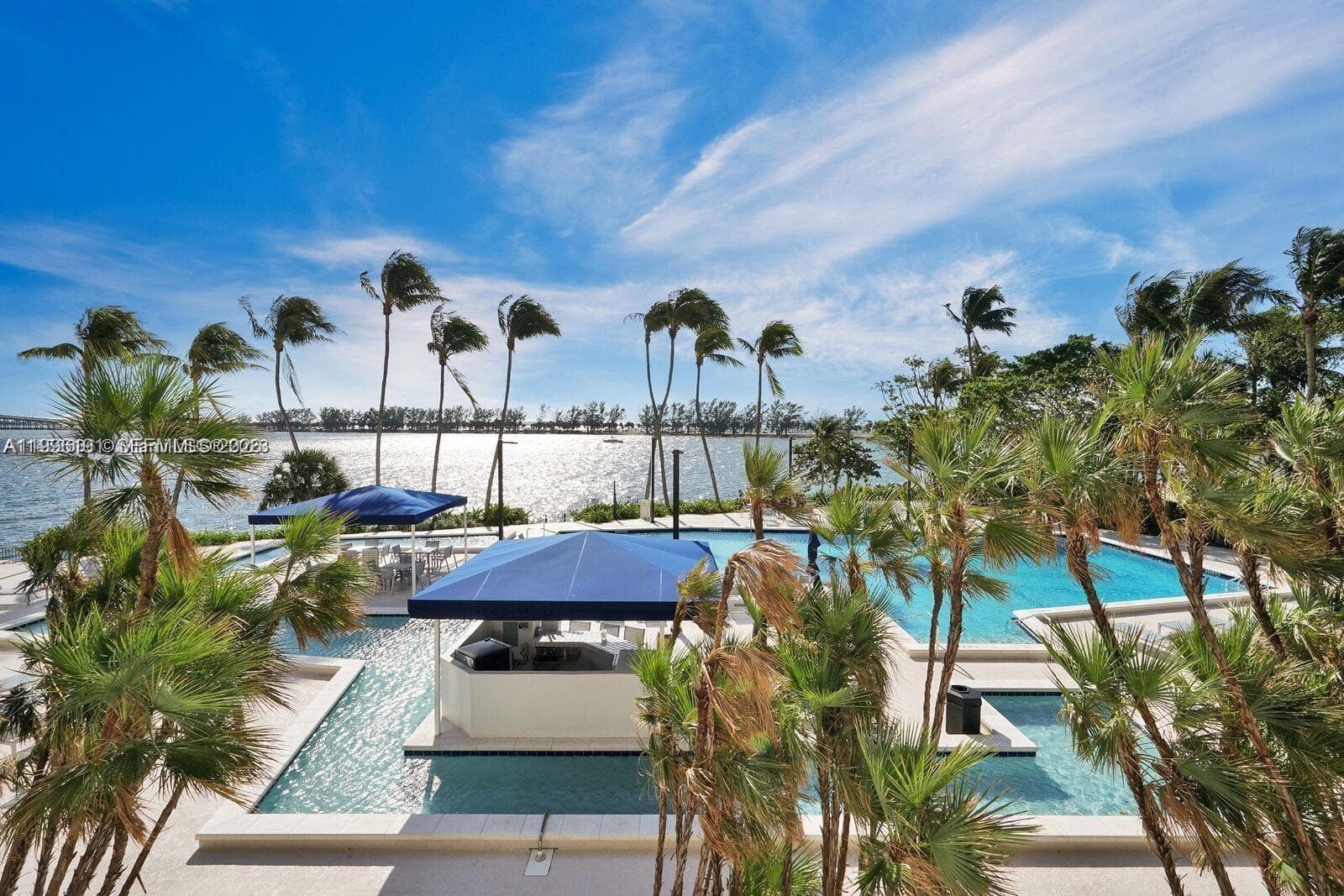 2333 Brickell Ave 2504 photo 2