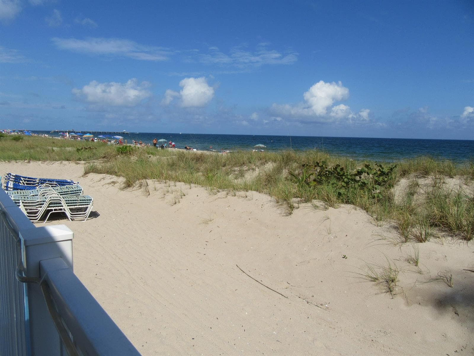 4050 N Ocean Drive 1504 photo 5