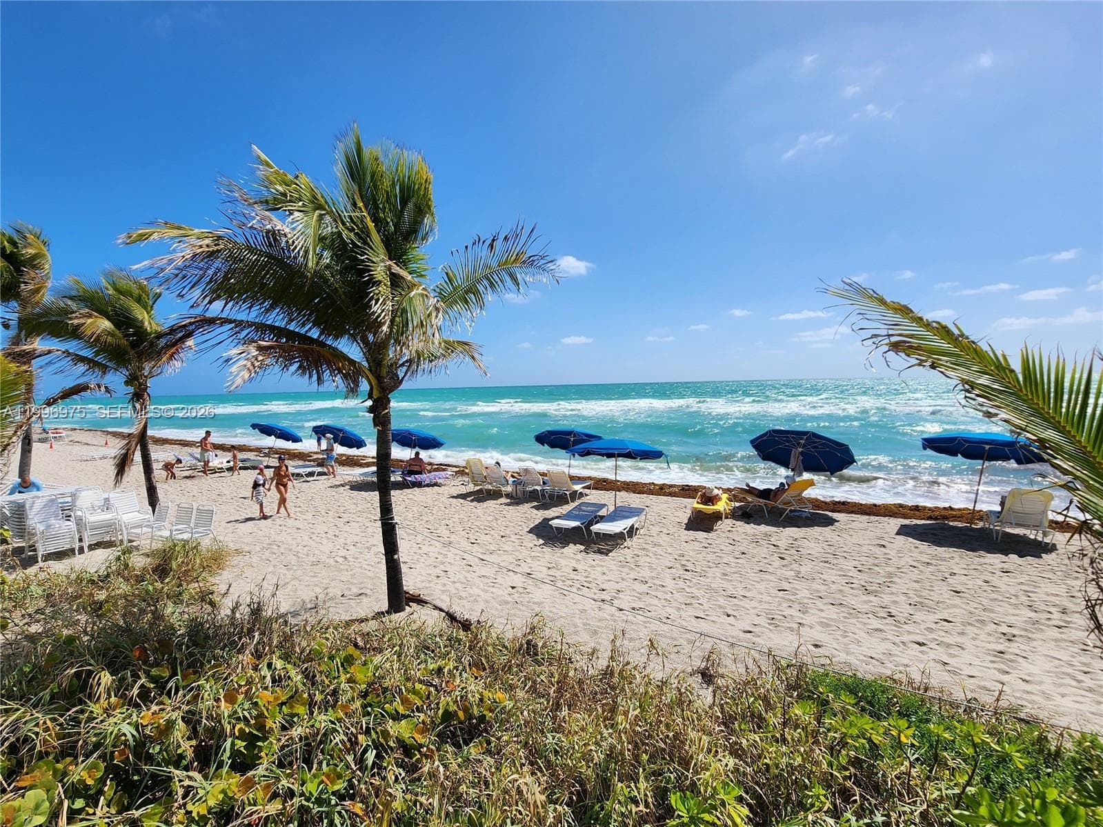 2030 Ocean Dr 515 photo 22