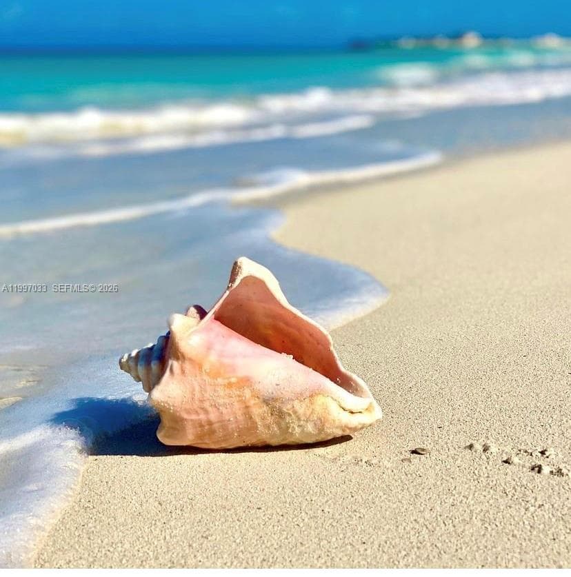 1865 79th Street Cswy 14K photo 22