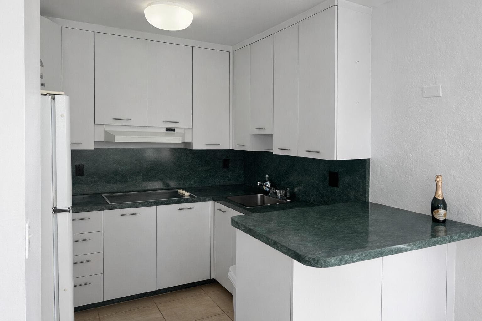 345 N Fort Lauderdale Beach Boulevard 201 photo 10