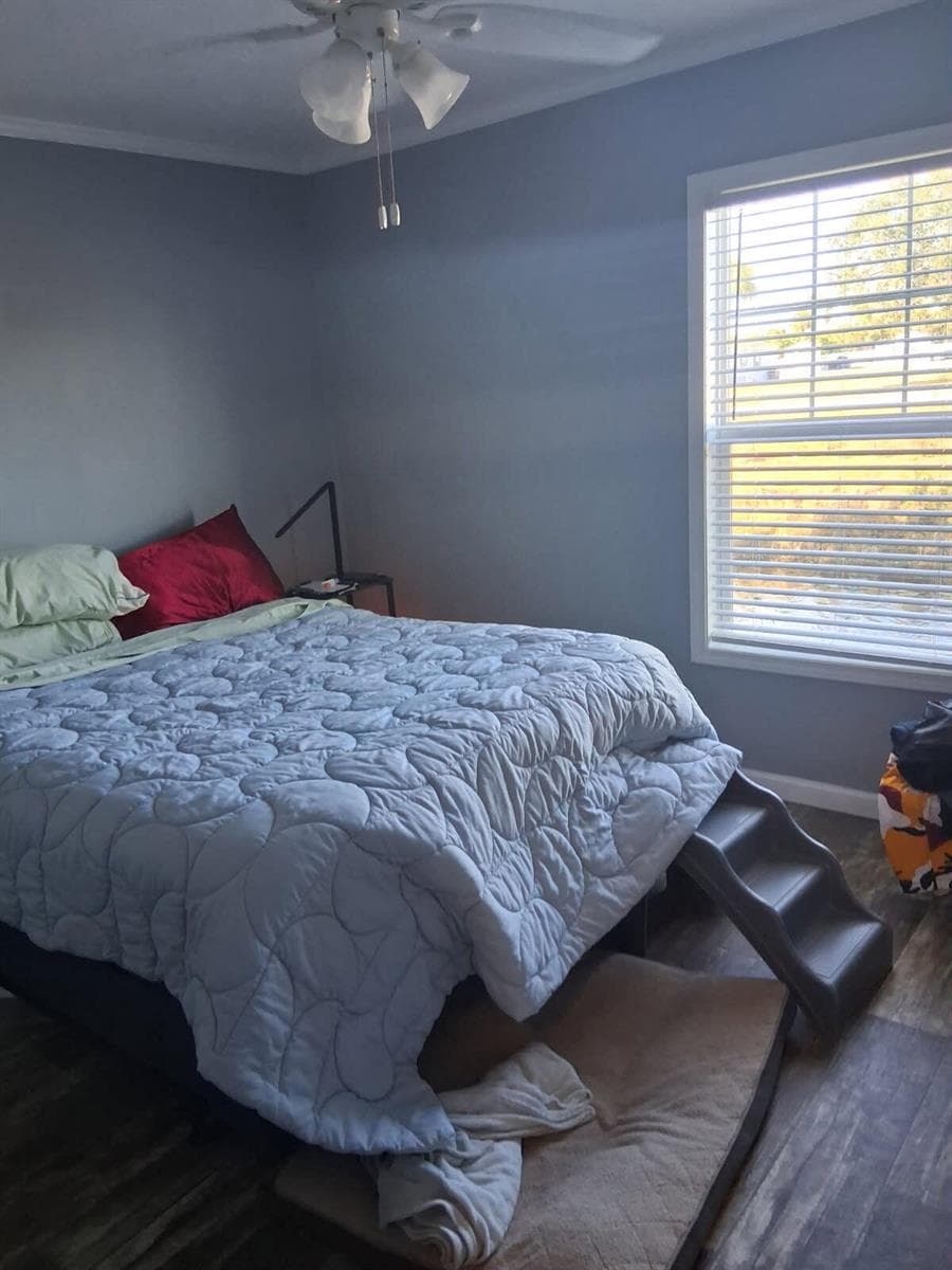 356 Mockingbird Avenue photo 6