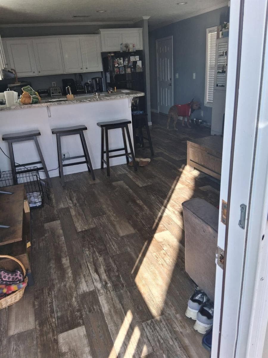 356 Mockingbird Avenue photo 4