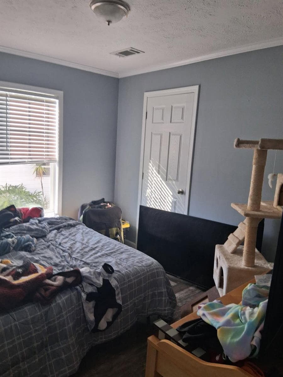 356 Mockingbird Avenue photo 8