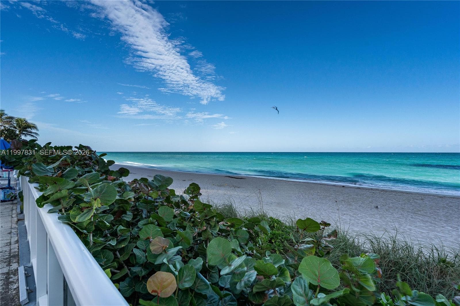 19201 Collins Ave 324 photo 8