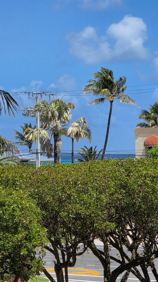 3606 S Ocean Boulevard 303 photo 18