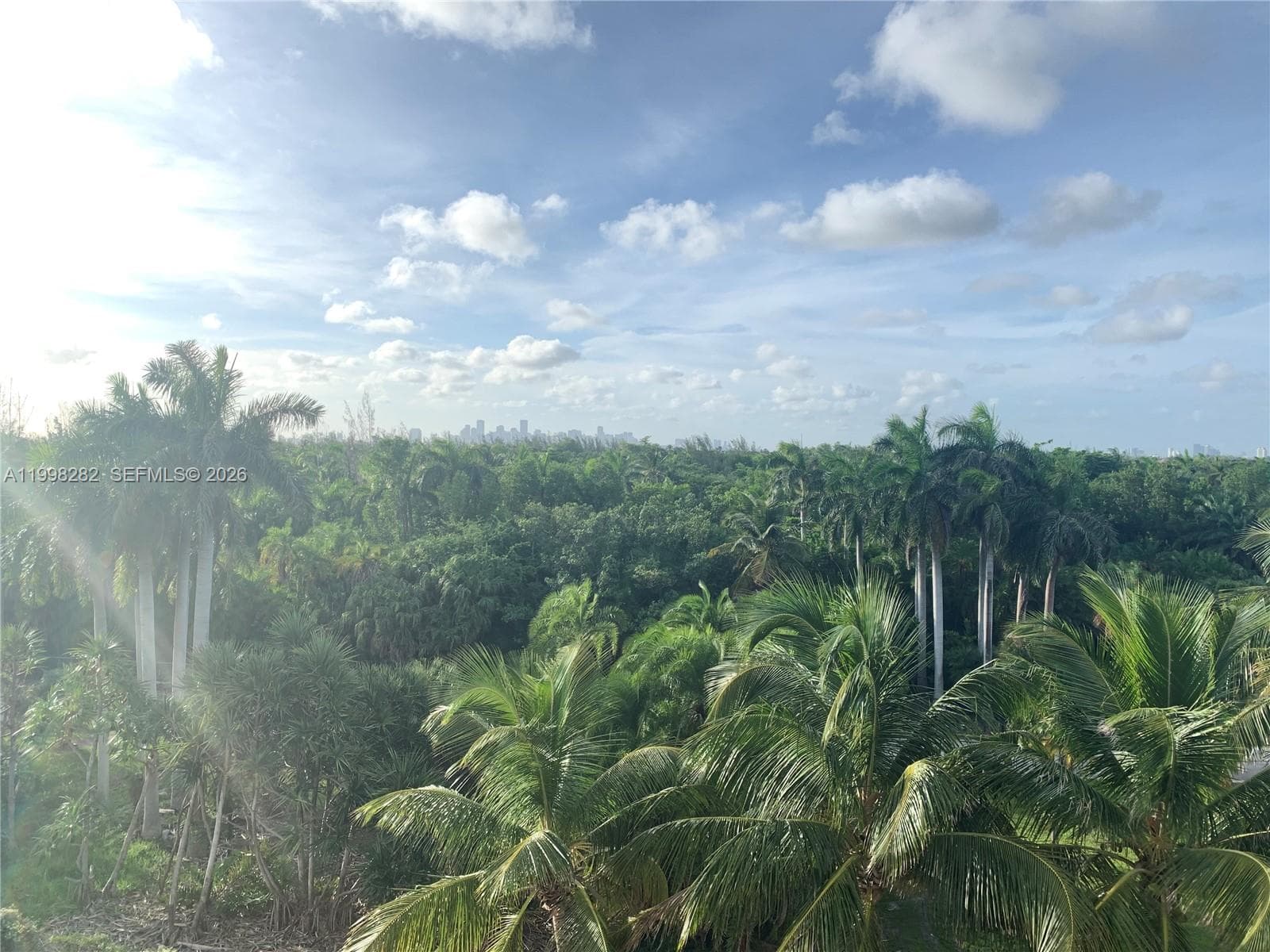 177 Ocean Lane Dr 512 photo 24