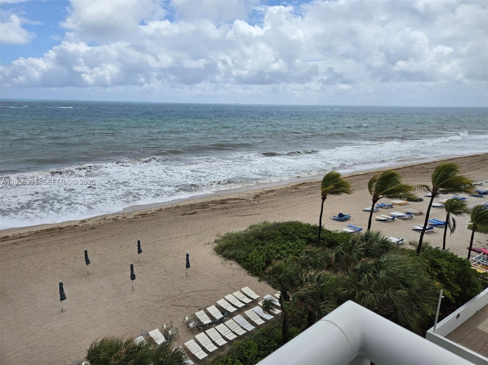 3550 Galt Ocean Dr 501 photo 14