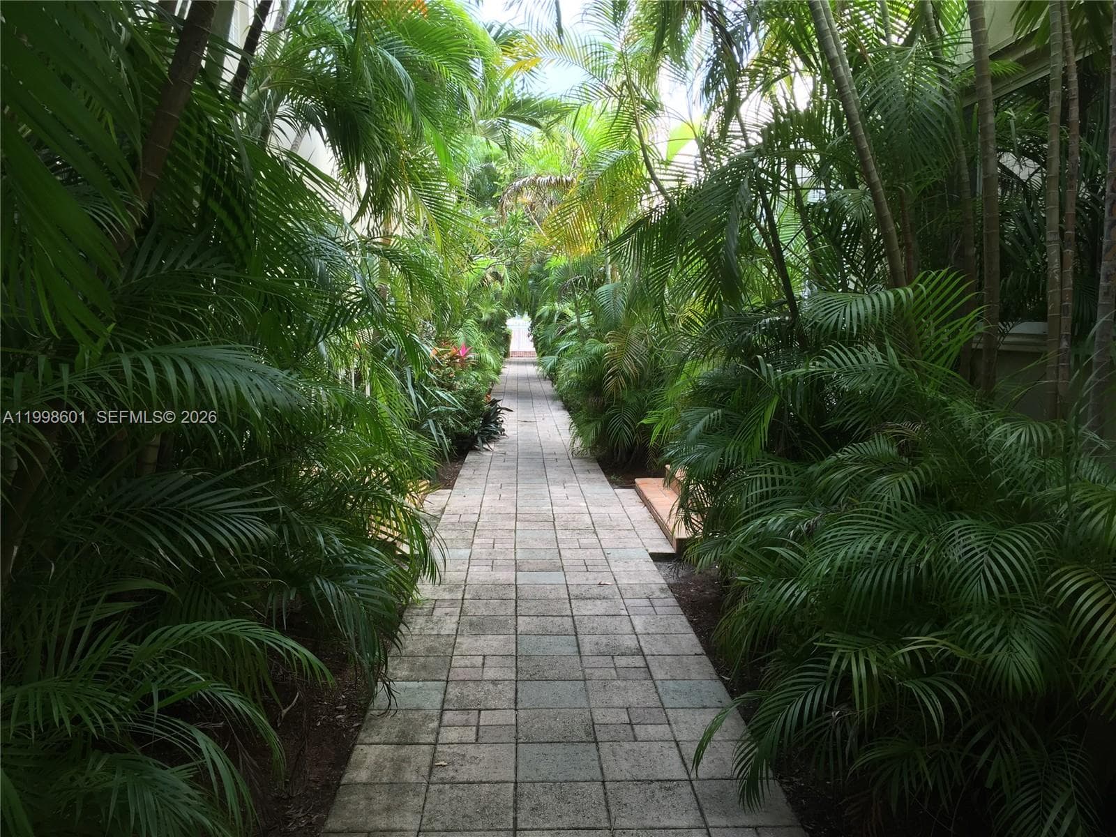 4740 Pine Tree Dr 26 photo 4