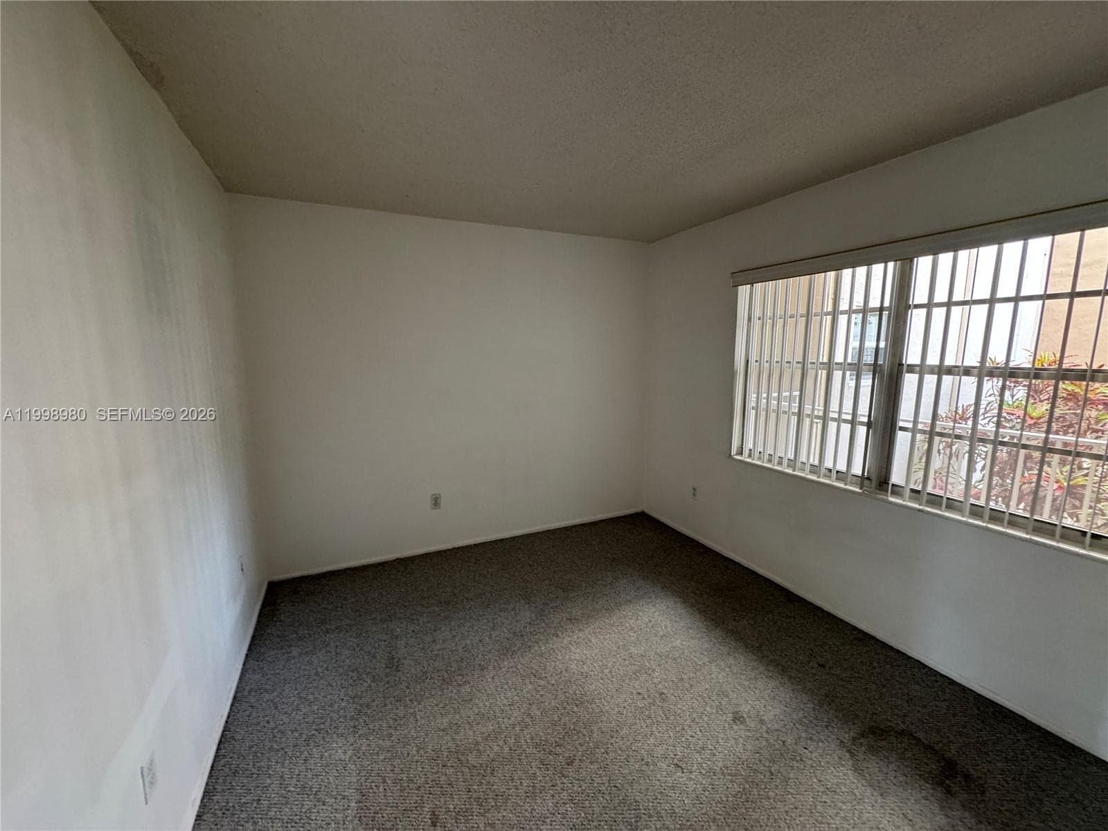 7787 86th St E-206 photo 4