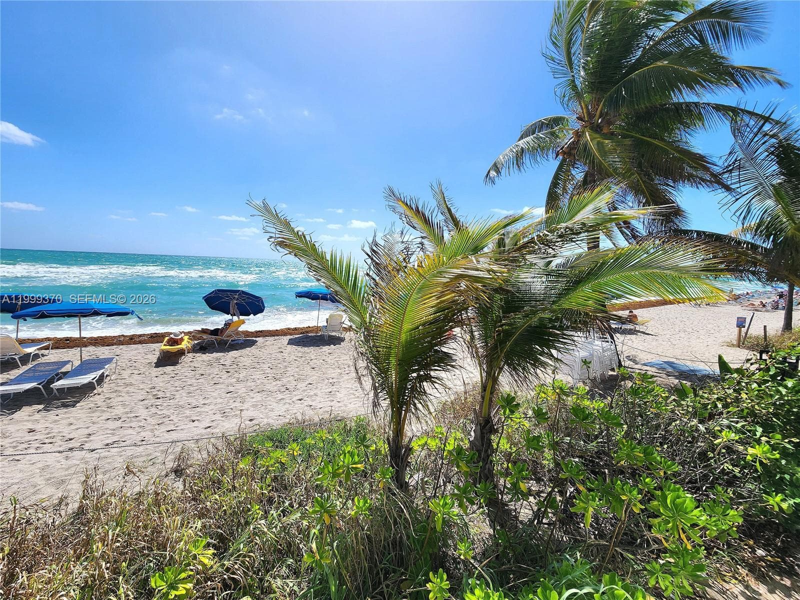 2030 Ocean Dr 1402 photo 14