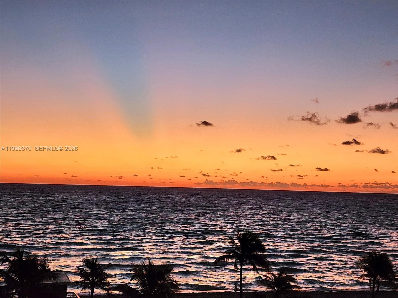 2030 Ocean Dr 1402 photo 19