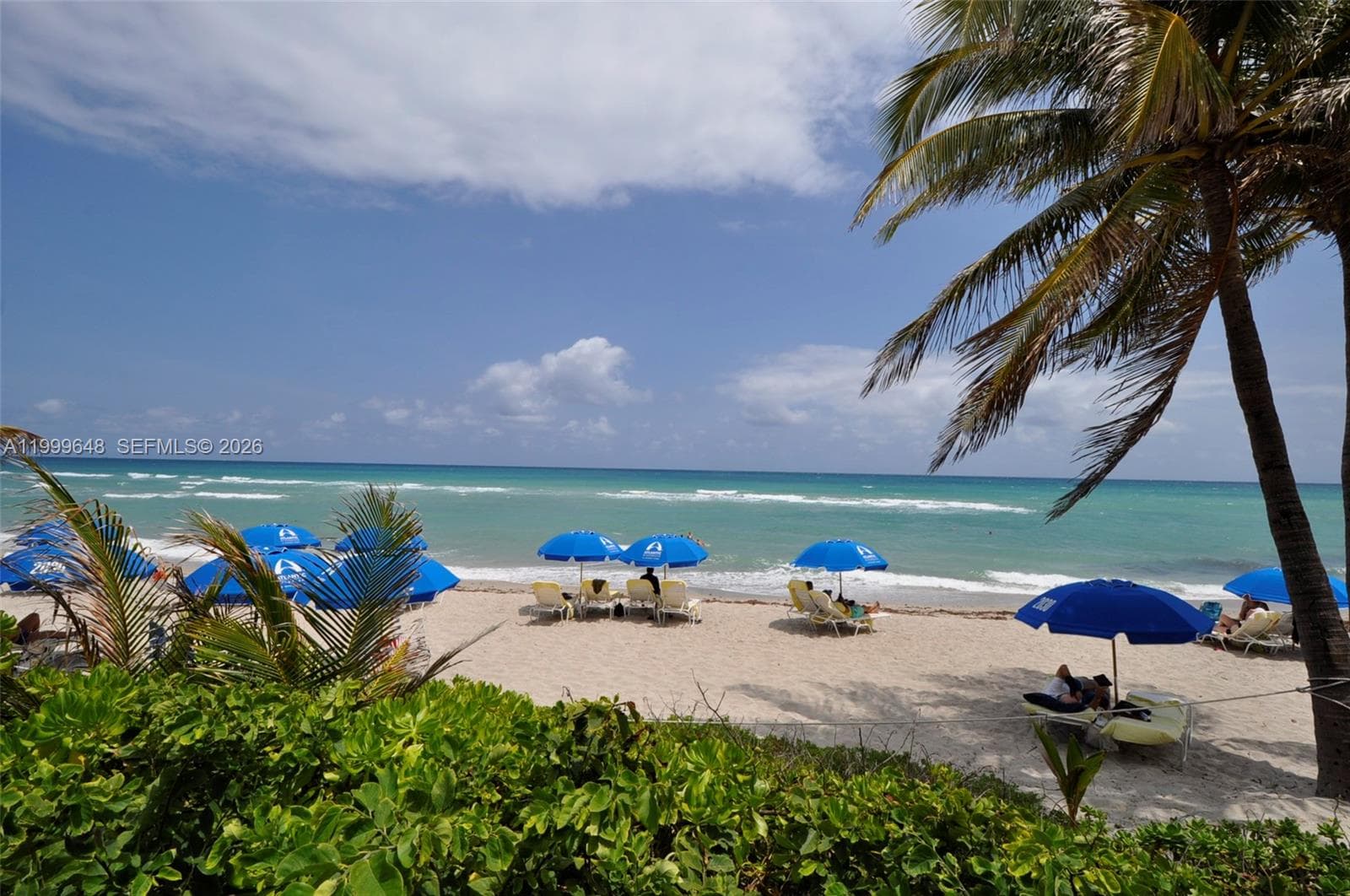 2030 S Ocean Dr 803 photo 16