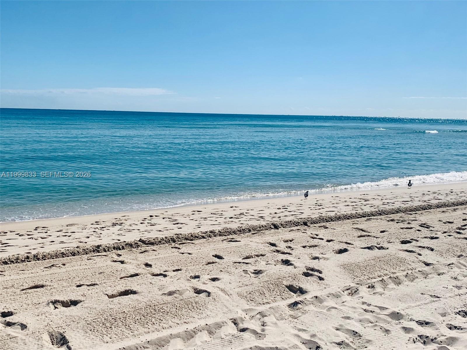 5757 Collins Ave 1003 photo 18