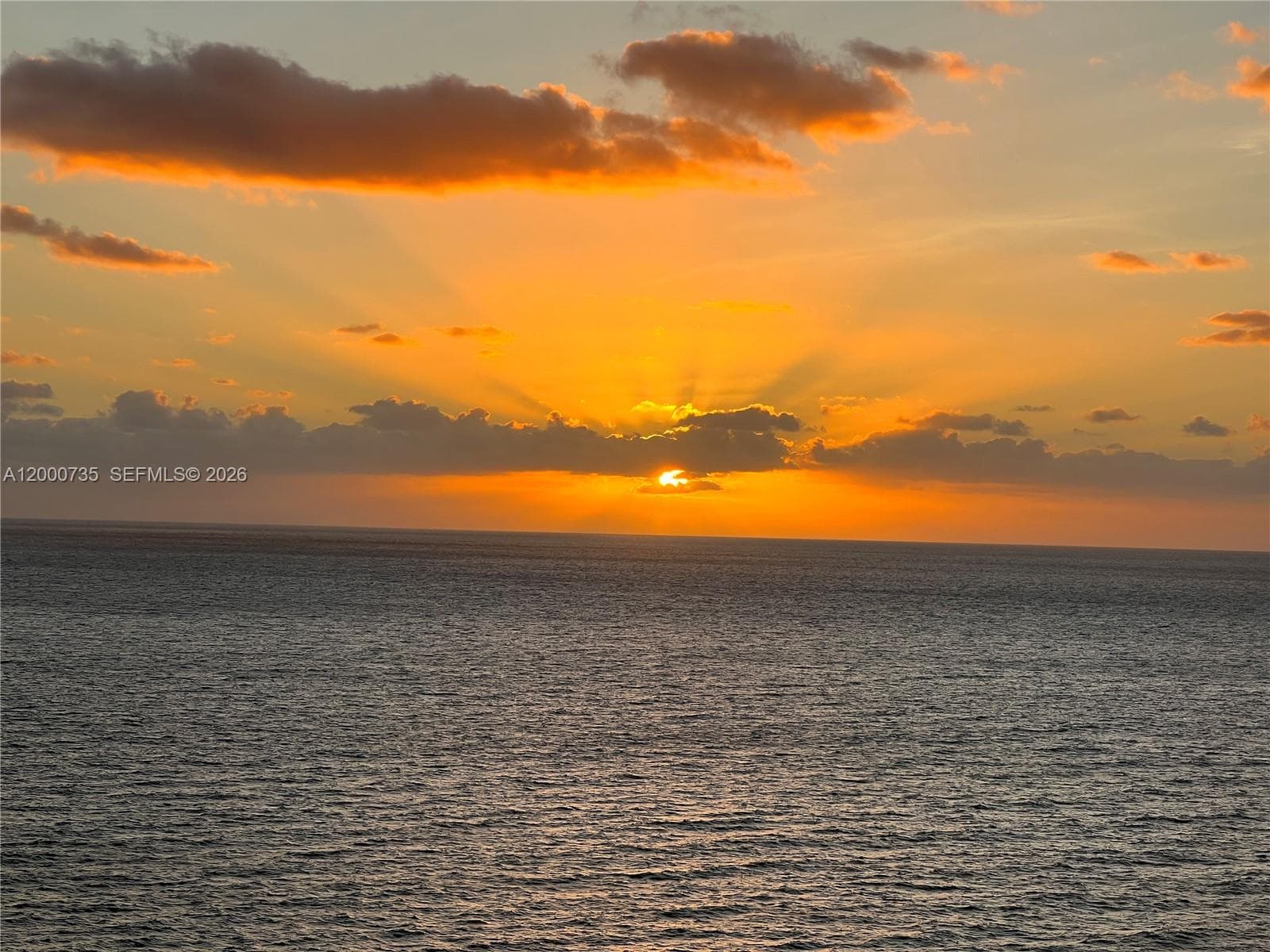 462 Golden Isles Dr 205 photo 1