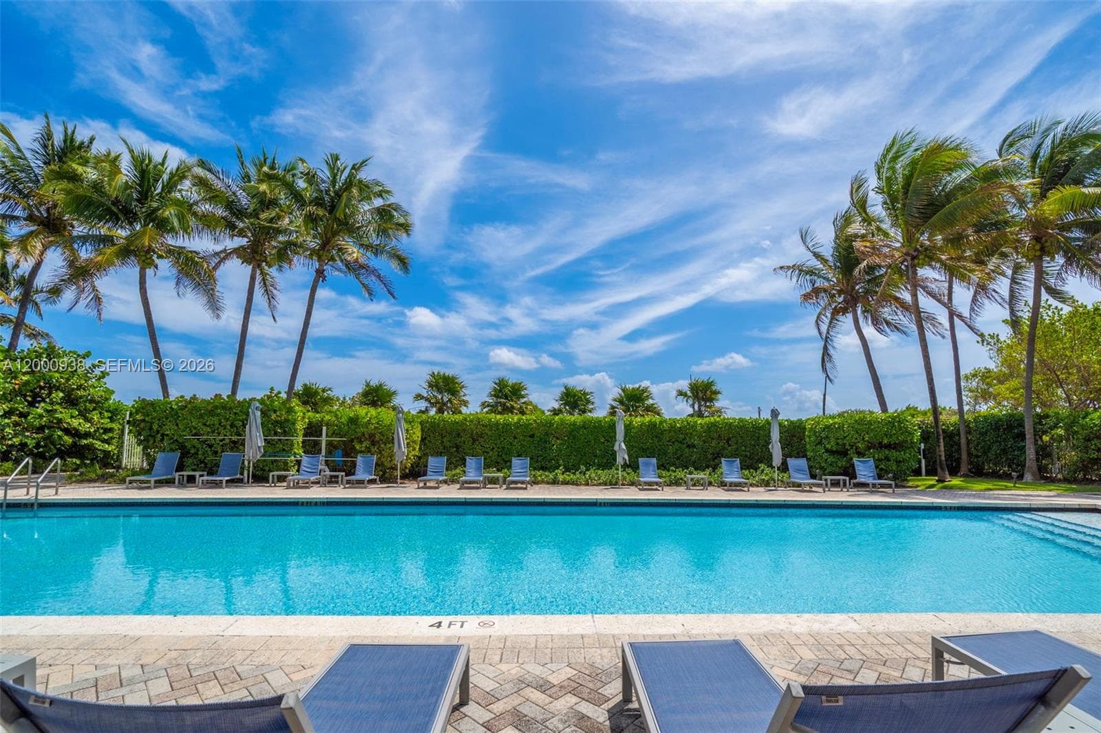 6515 Collins Ave 802 photo 25