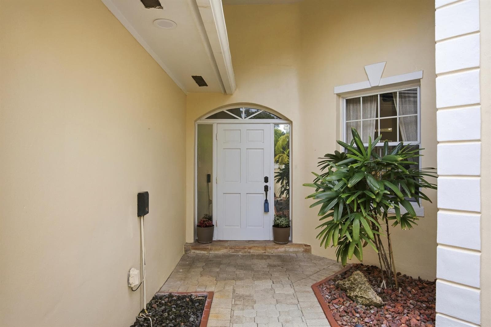 7780 Travelers Tree Drive photo 6