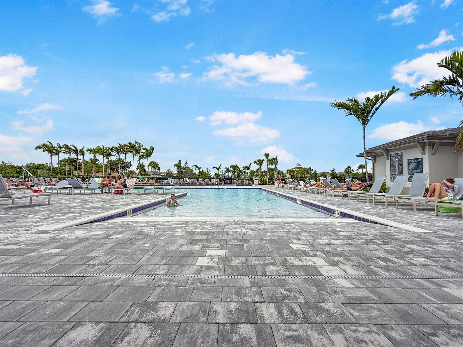 13586 Sabal Palm Court D photo 17