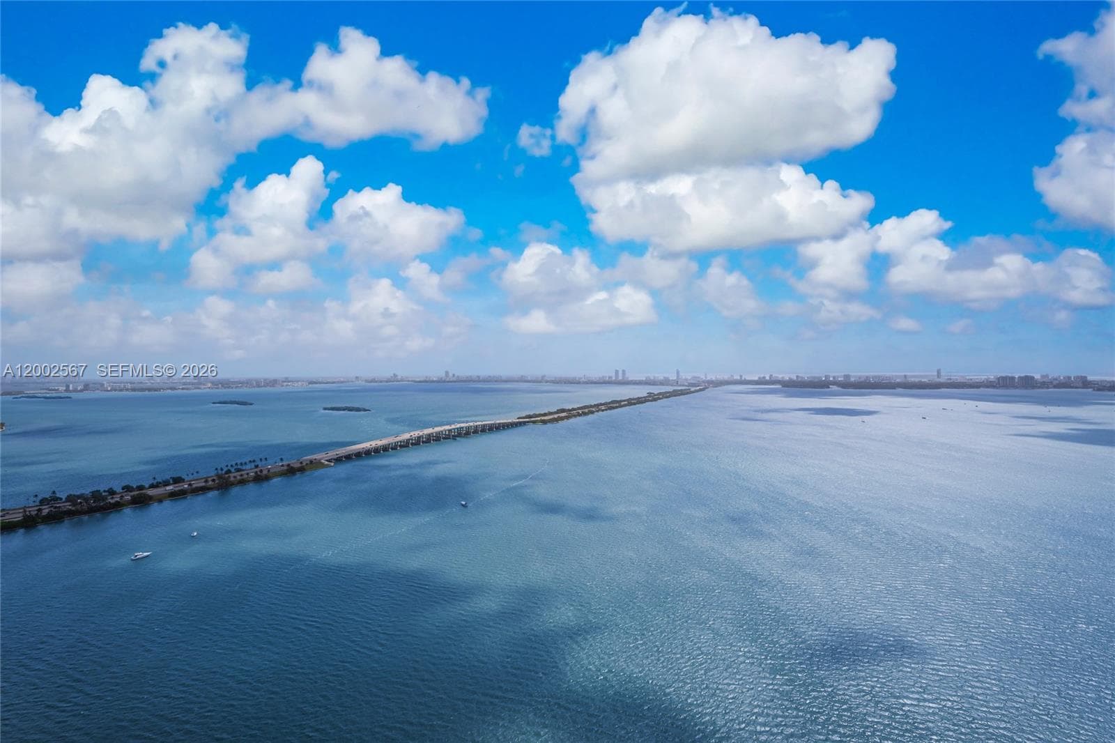 2900 7th Ave 4003 photo 4