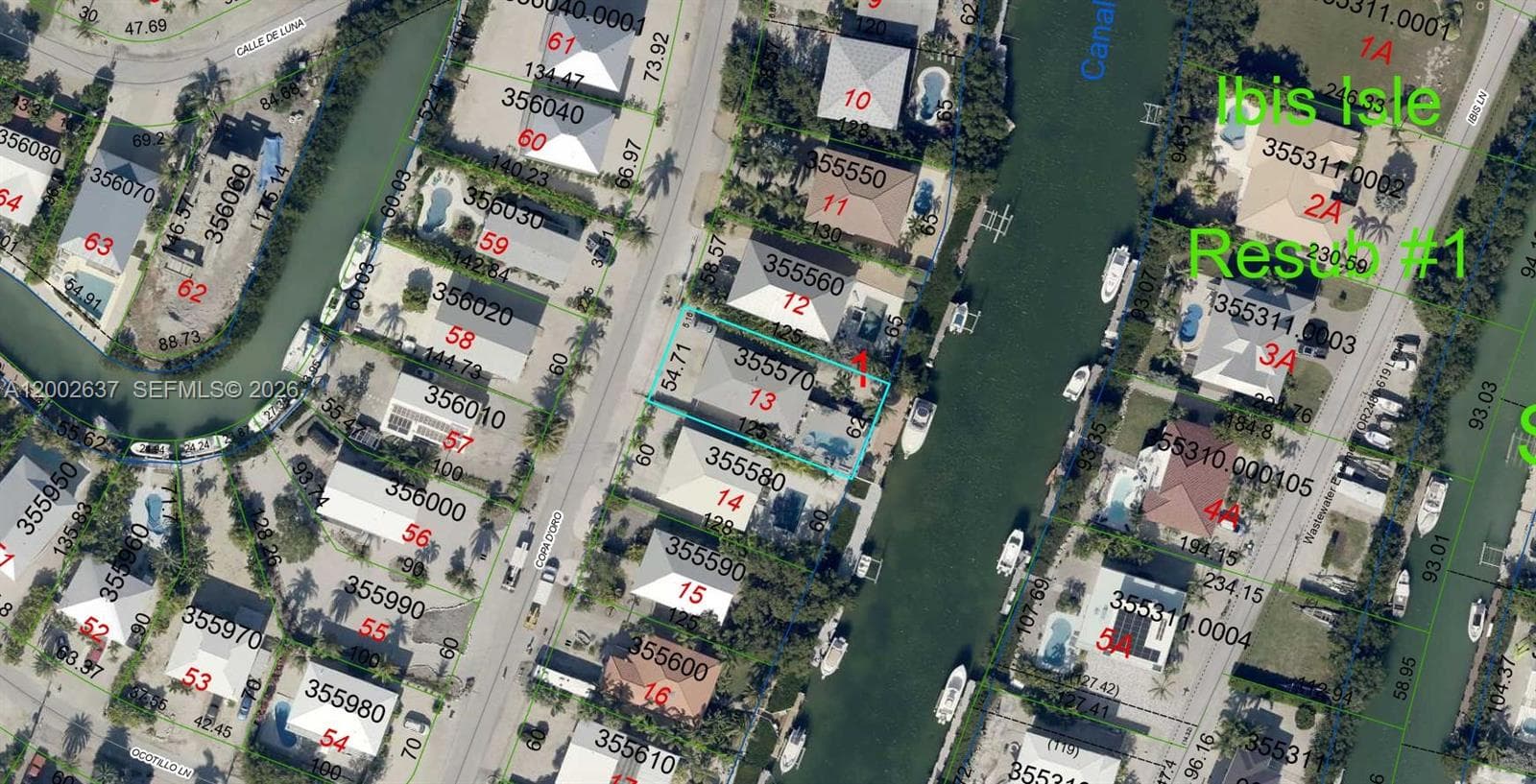 840 Copa D Oro photo 2