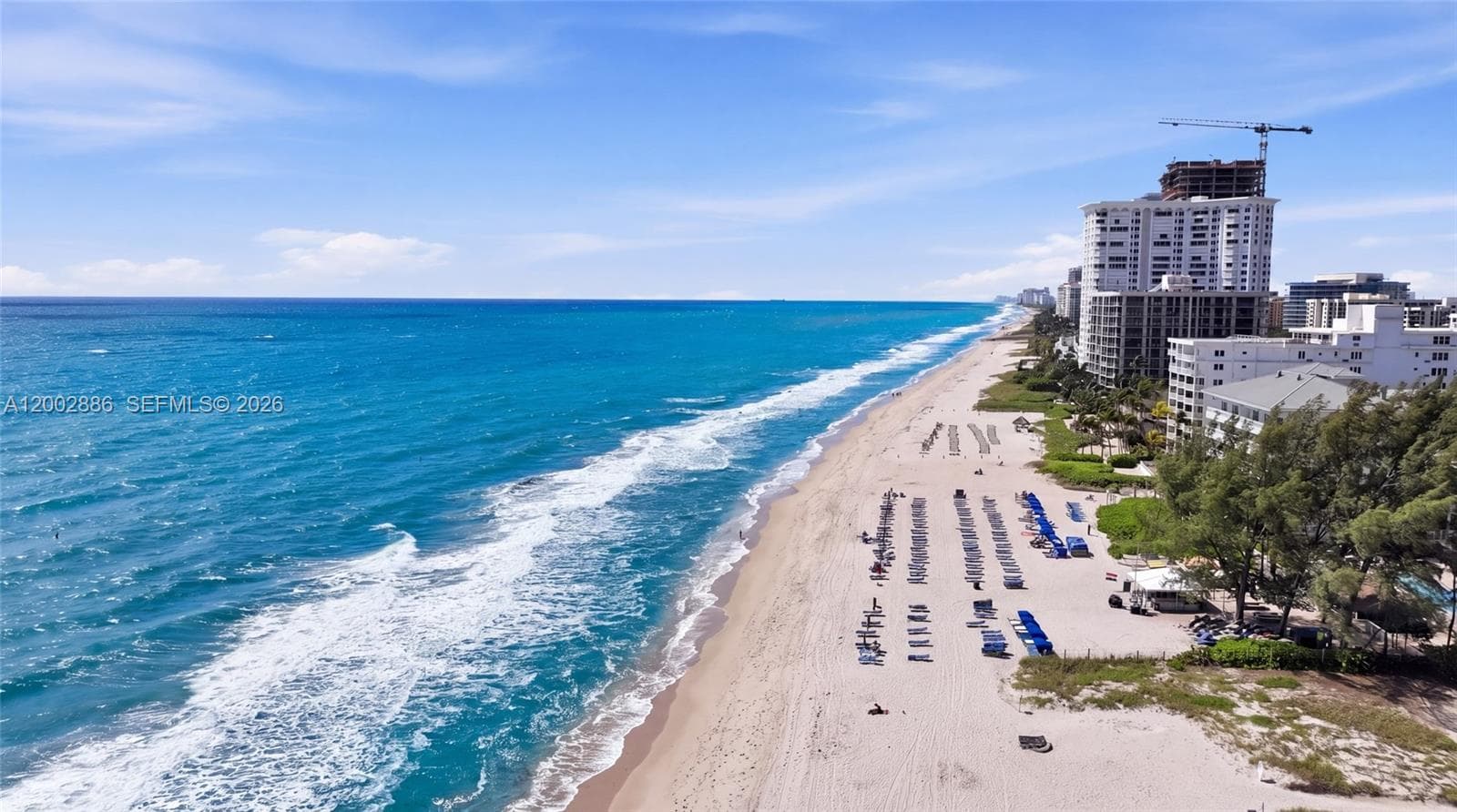 3216 12th St 8 photo 5