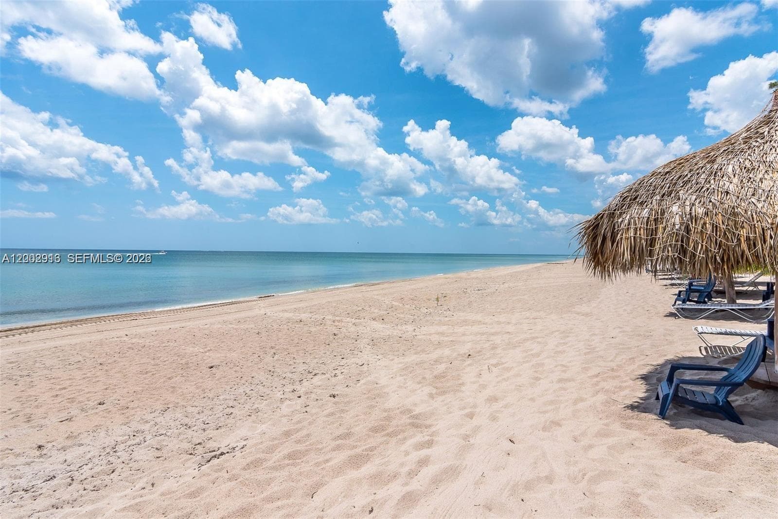 3912 Ocean Blvd 306 photo 24