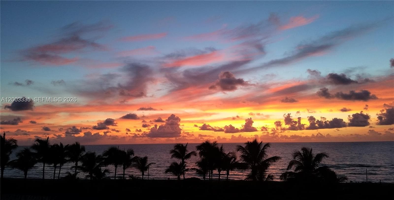 5055 Collins Ave 4C photo 2