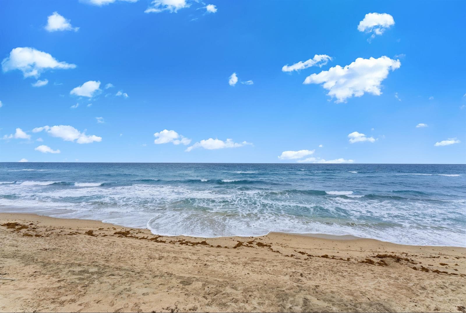 3610 S Ocean Boulevard 610 photo 2