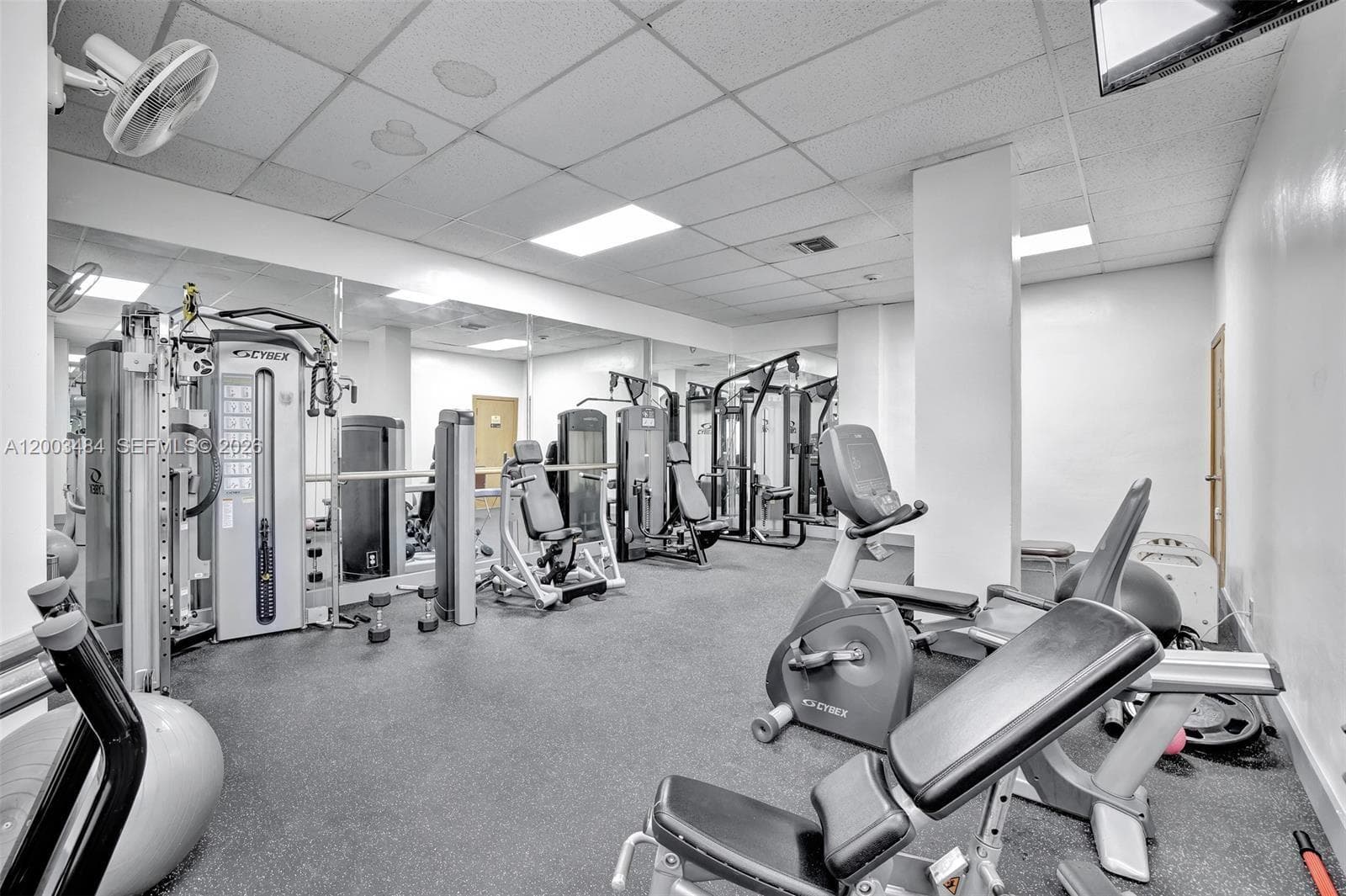 3800 Ocean Dr 1812 photo 24