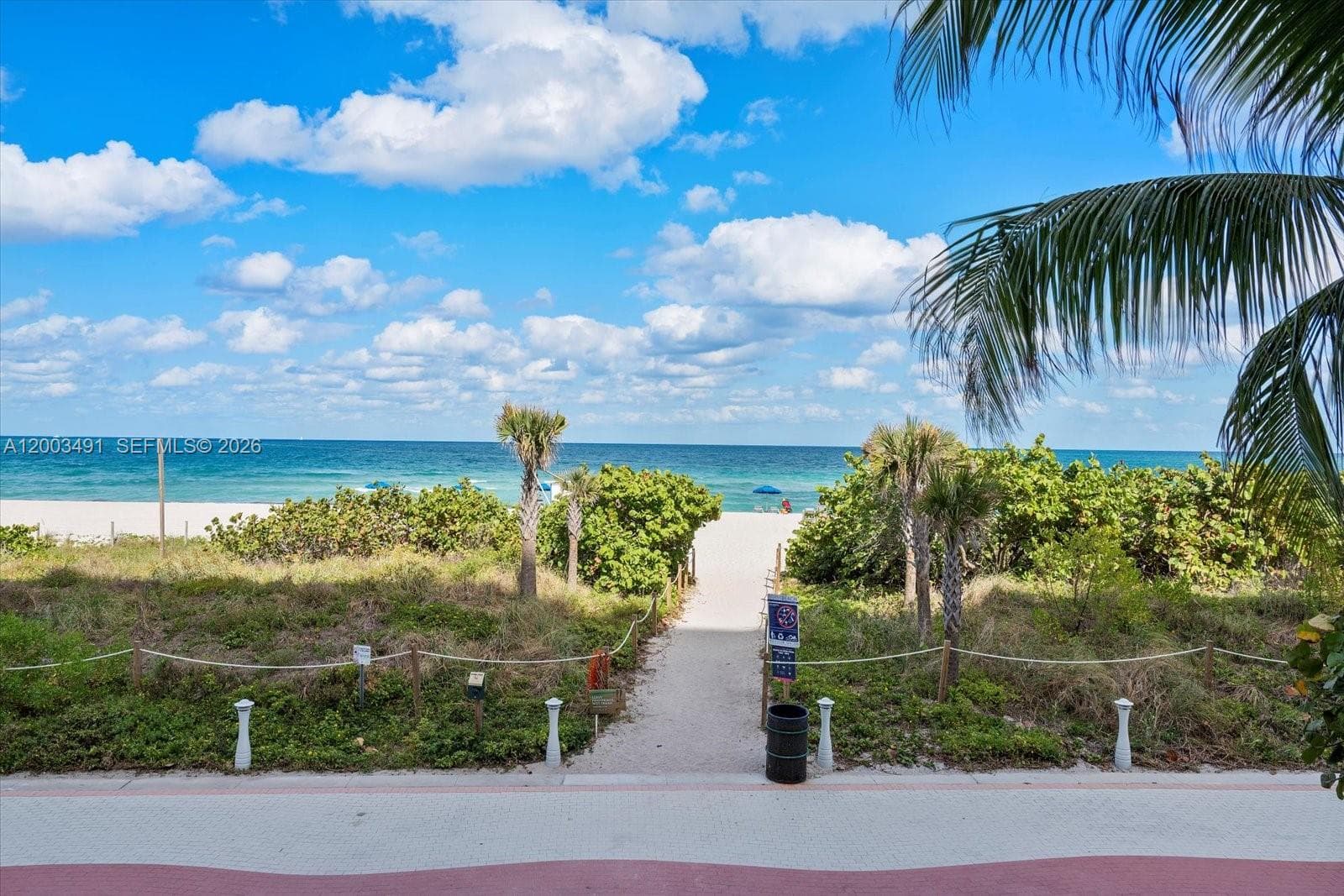 5555 Collins Ave 3C photo 25