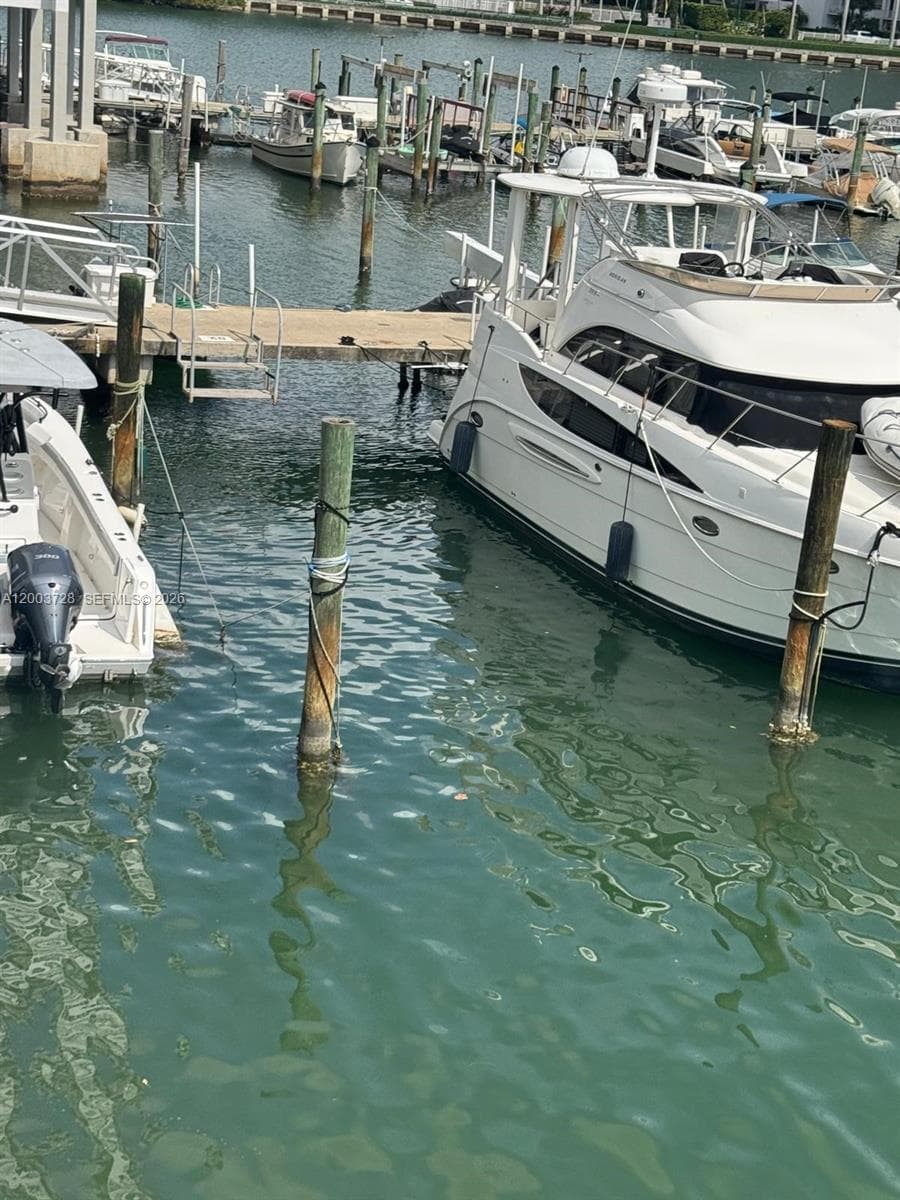 18041 BISCAYNE BLVD PH01 photo 18