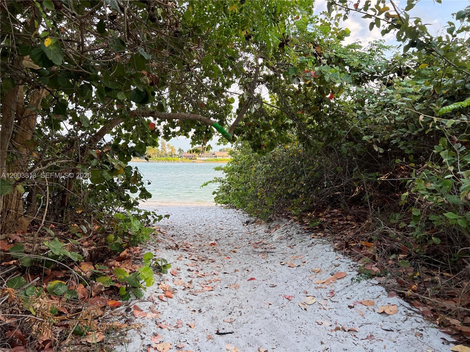 2800 N Highway A1a 204 photo 21