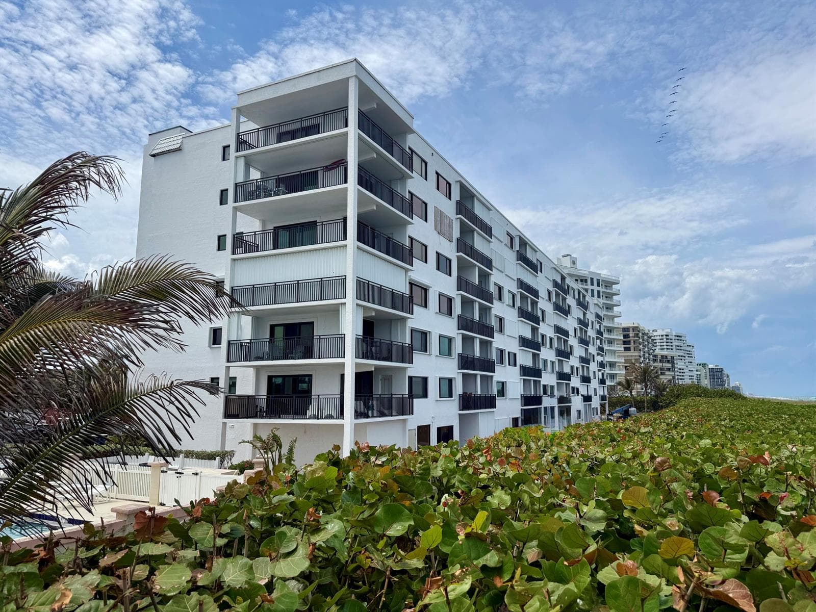 10102 S Ocean Drive 210a photo 2