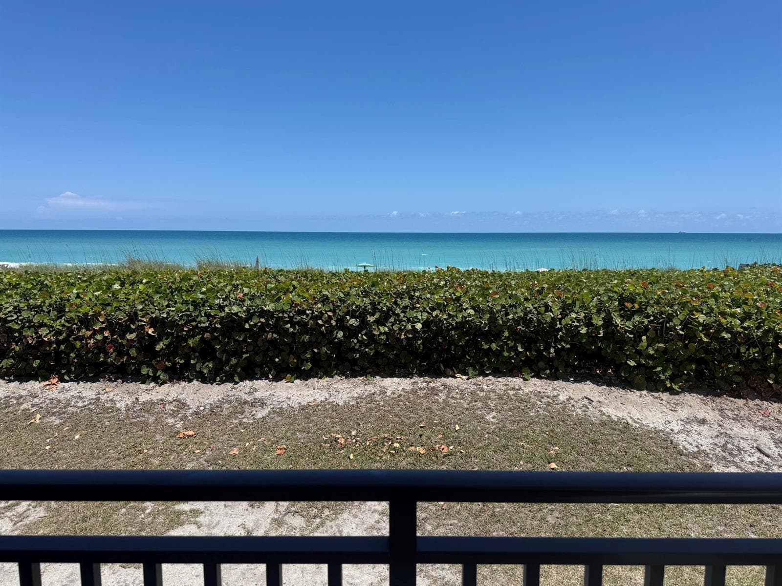 10102 S Ocean Drive 210a photo 5