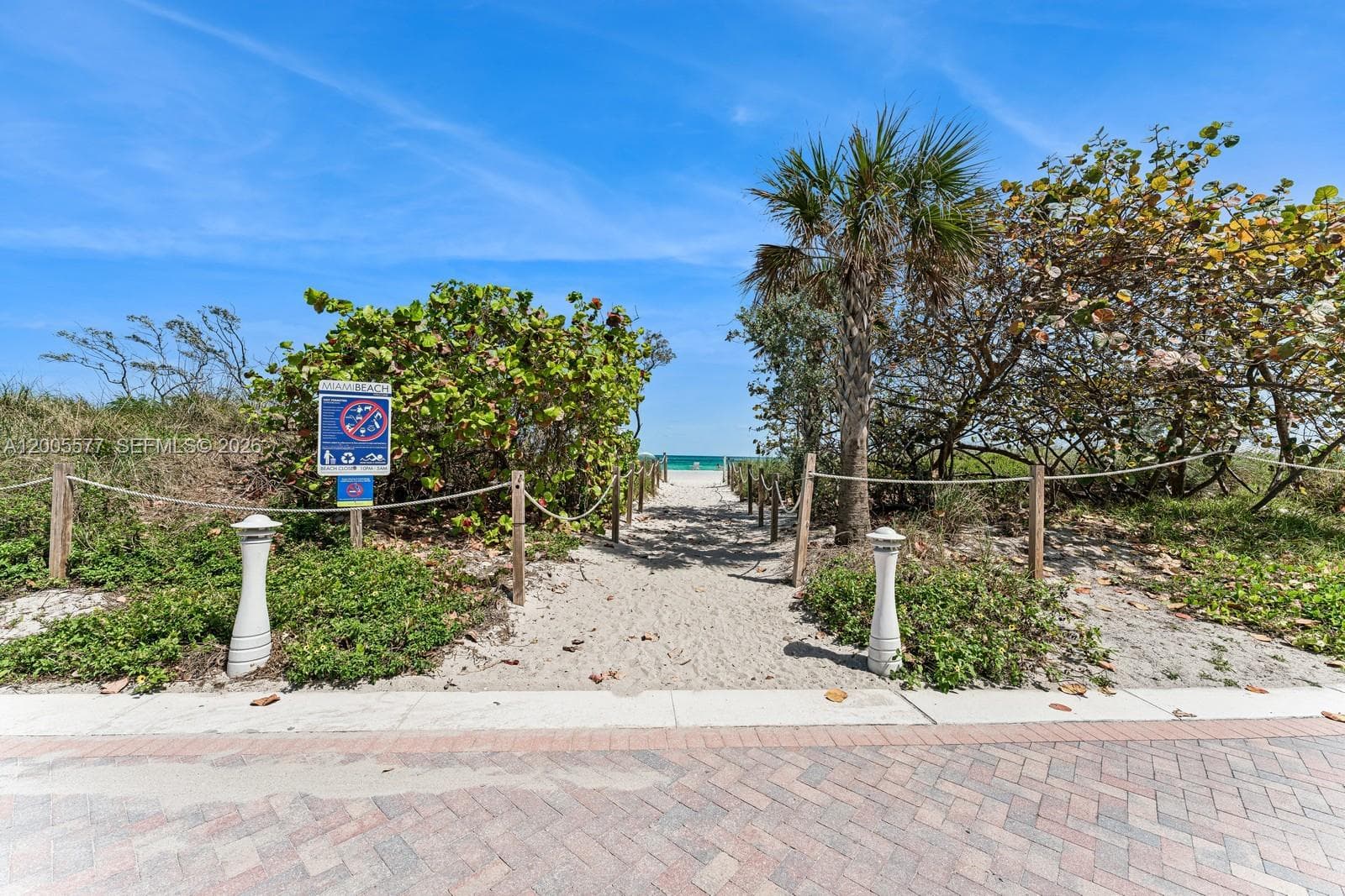 5255 Collins Ave 11A photo 16